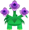Blossom
