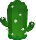 Cacti