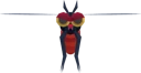 Mosquito Bug