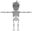 Skeleton