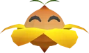 Sun Blossom